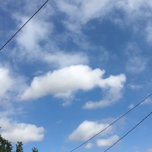 Meet your Posher, Armando